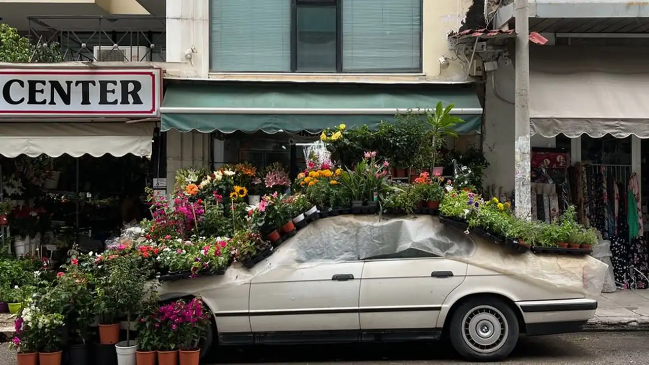 棒棒TV打造您的专属娱乐体验